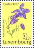 Columbine (Aquilegia vulgaris)