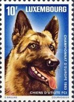 European Working Dog Championships