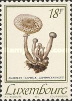 Agaricus (Lepiota) lepidocephalus