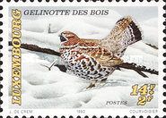 Hazel Grouse (Tetrastes bonasia)