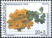 Pedunculate Oak (Quercus robur)