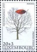 Wild Cherry (Prunus avium)