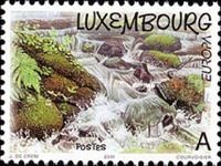 Fresh Water Stream, Mullerthal Region
