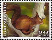 Eurasian Red Squirrel (Sciurus vulgaris)