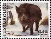 Wild Boar (Sus scrofa)