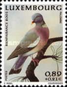 Wood Pigeon (Columba palumbus)