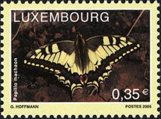 Swallowtail (Papilio machaon)