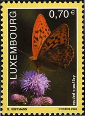 Silver-washed Fritillary (Argynnis paphia)