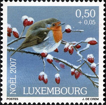 European Robin (Erithacus rubecula)