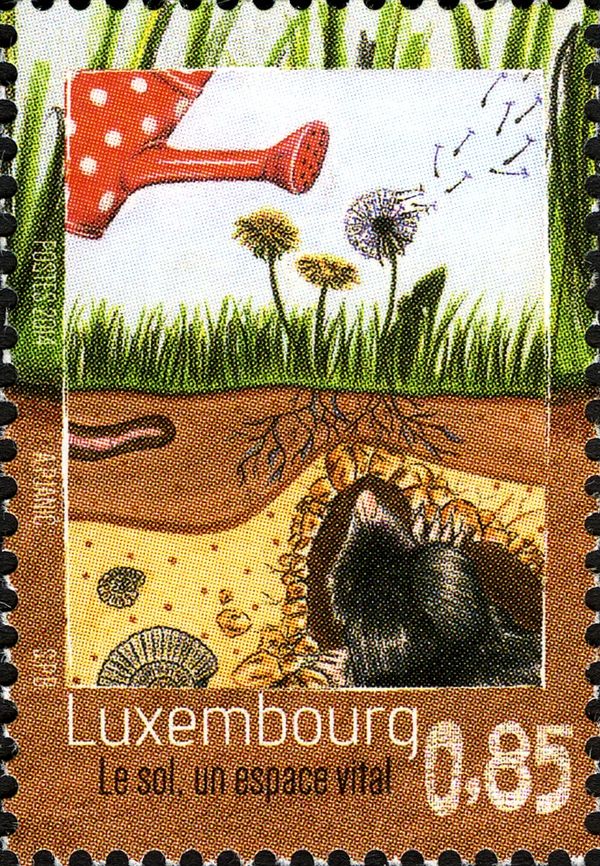 The soil, this essential living environment