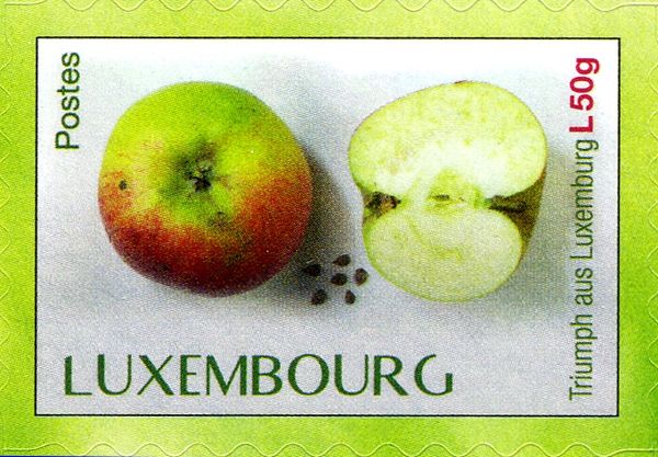 "Triumph" apple