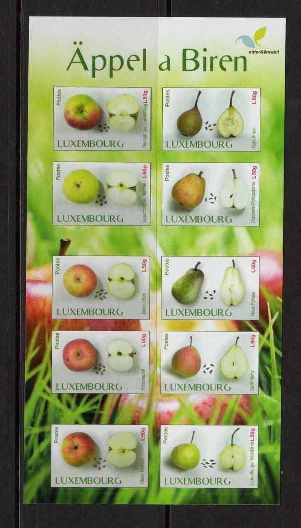 Apples and Pears