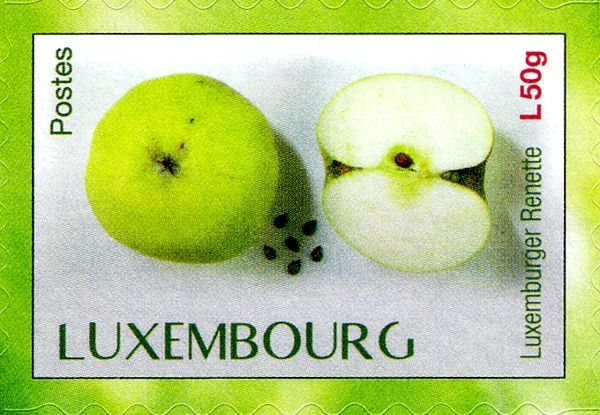  "Renette" apple
