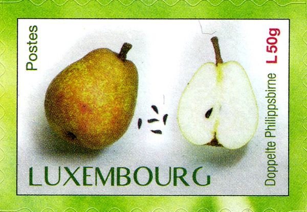  "Doppelte Philippsbirne" pear