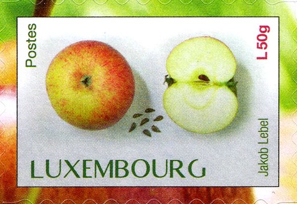  "Jakob Lebel" apple