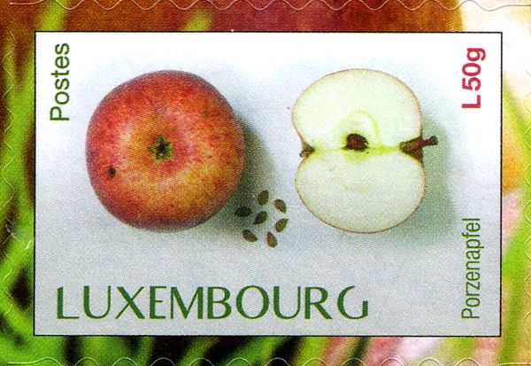 "Porzenapfel" apple