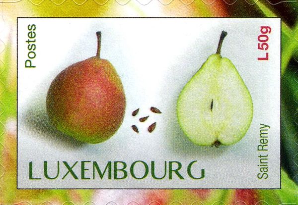  "Saint Rémy" pear