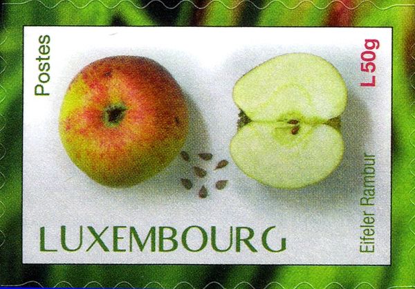 "Eifeler Rambur" apple