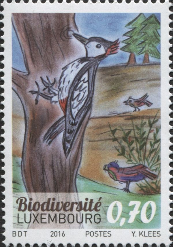 Biodiversity