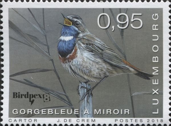 Birdpex8 - Bluethroat (Luscinia svecica)
