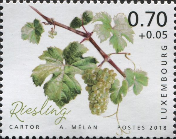 Riesling
