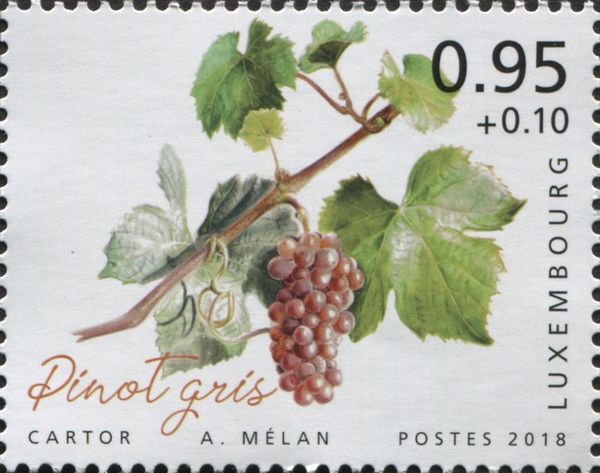 Pinot Gris