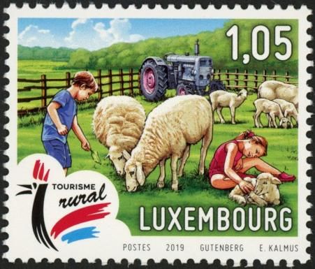 Children Petting Sheep