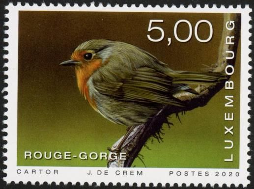 Robin (Erithacus rubecula)