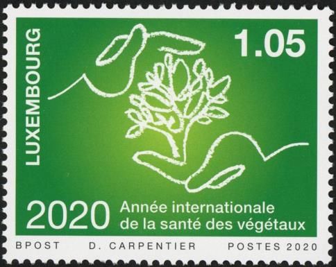 International Year of Healthy Vegetation