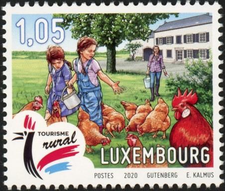 Children Feeding Chickens