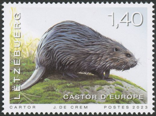Eurasian Beaver (Castor fiber)