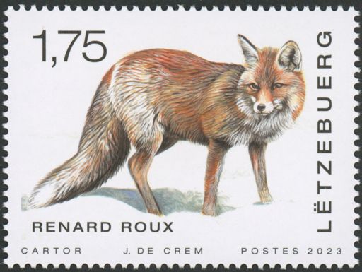 Red Fox (Vulpes vulpes)