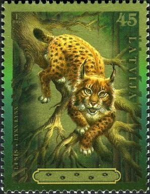 Eurasian Lynx (Lynx lynx)