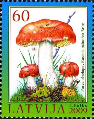 Russula paludosa