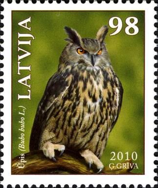 Eurasian Eagle-Owl (Bubo bubo)