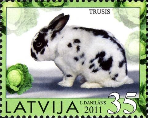 Chinese New Year 2011 - Year of the Rabbit
