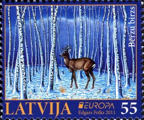 Western Roe Deer (Capreolus capreolus), in Birch Forest