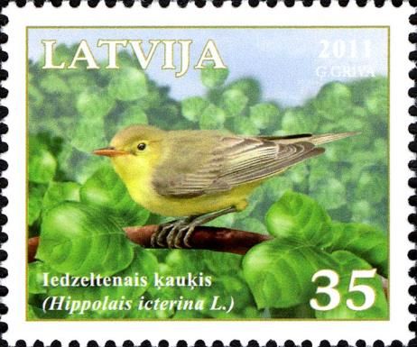 Icterine Warbler (Hippolais icterina)