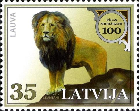 Lion (Panthera leo)