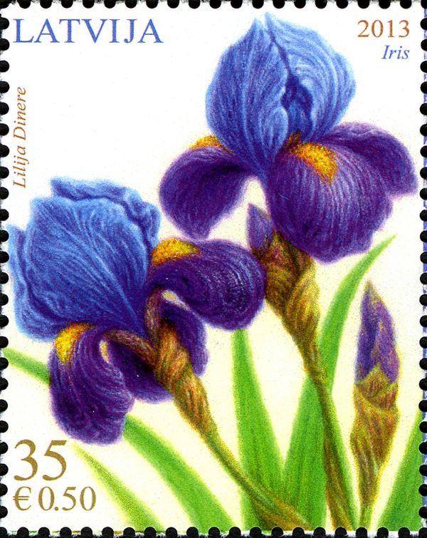 Iris