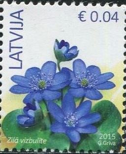 Liverleaf (Hepatica nobilis)