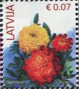 Marigold