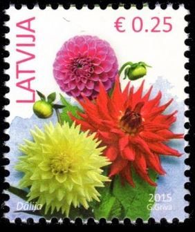 Dahlia