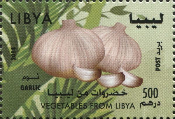 Garlic