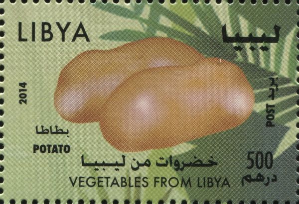 Potato