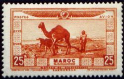Moor ploughing with camel and donkey