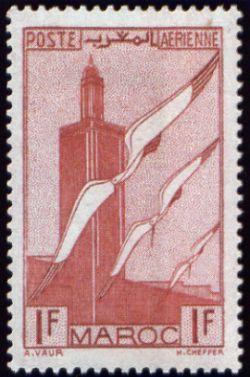 Storks and minaret