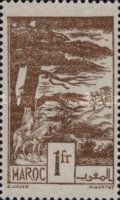 Ifrane: cedar forests