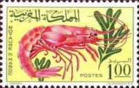 Royal Prawn (Aristeomorpha folliacea)