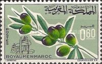 Olive Branch with Fruits and Old Oil Press